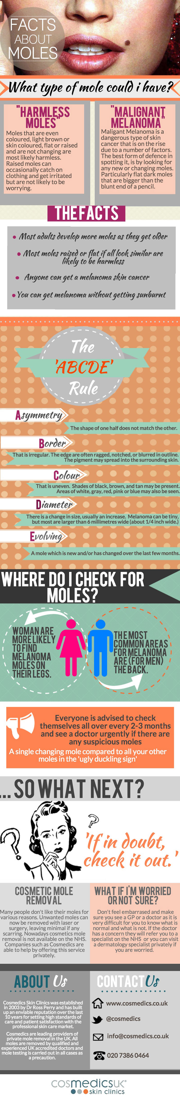 Infographic - facts about moles